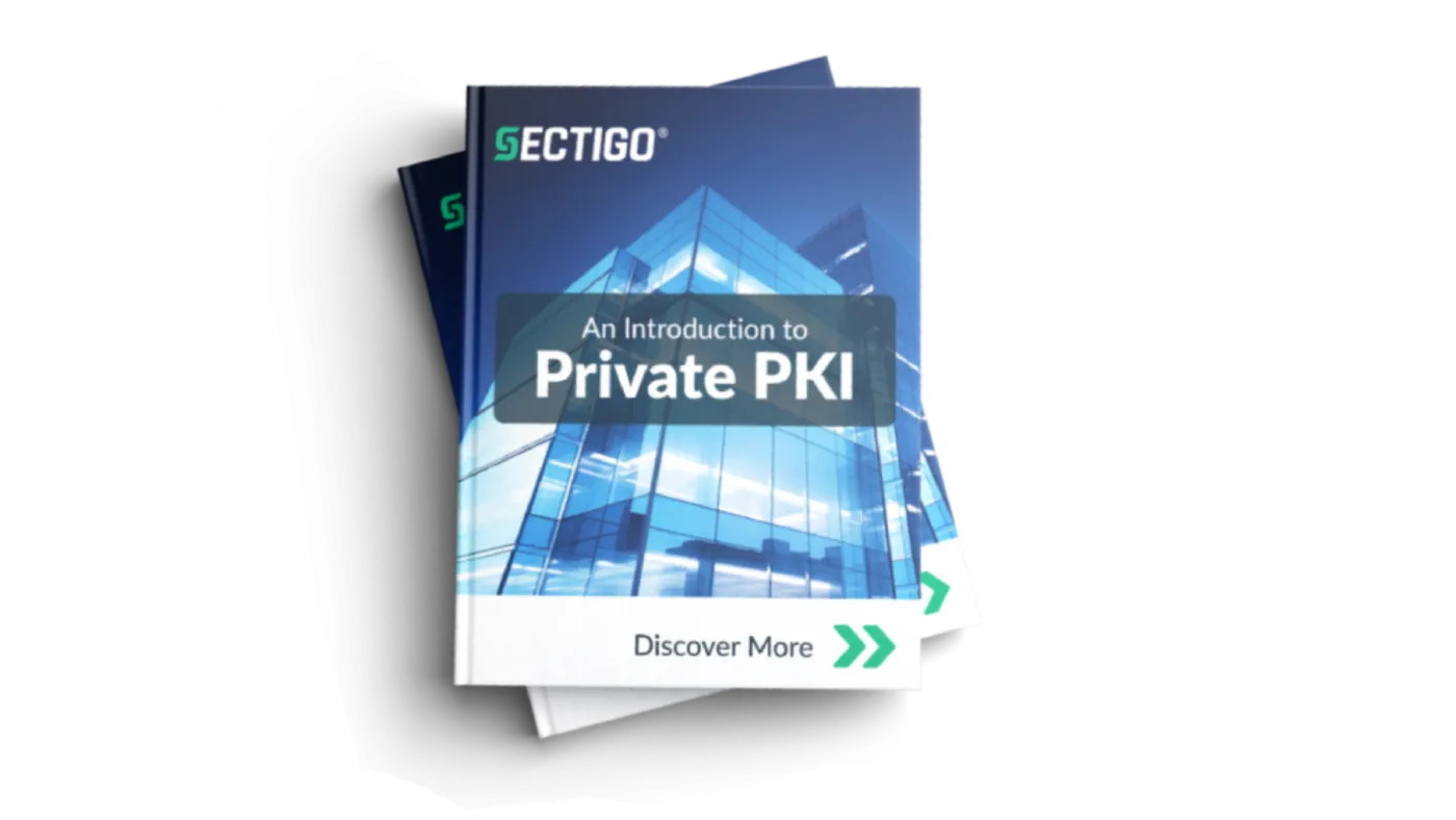 Intro ppki mockup v2 2025 05 27 083703 pjfn